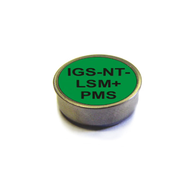 IGS-NT-LSM+PMS